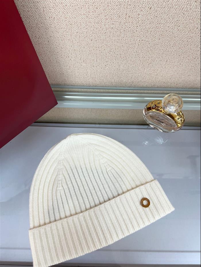 2026116112023735 100